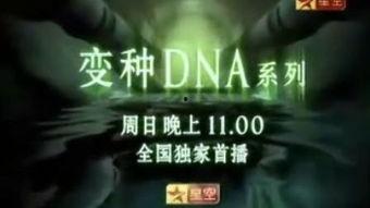 dna 在线观看,在线观看揭示生命密码之旅 第2张 dna 在线观看,在线观看揭示生命密码之旅 第2张