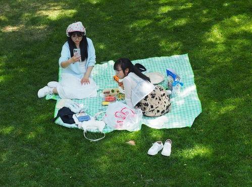 树荫在线观看,在线观看的视觉盛宴 第2张 树荫在线观看,在线观看的视觉盛宴 第2张